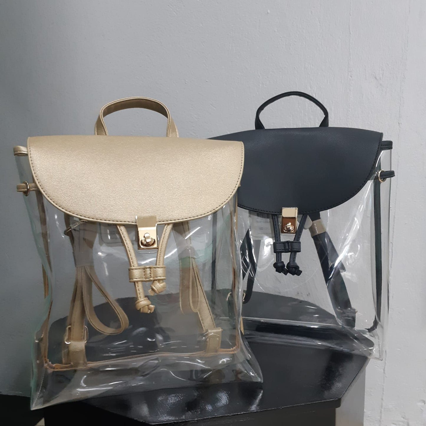 Fashionable Transparent Back Pack